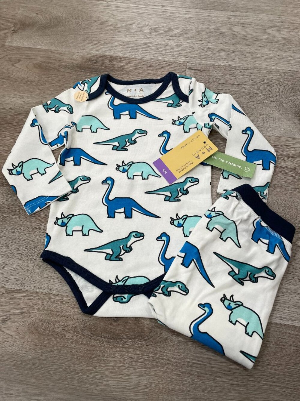 Dinosaur Outfit